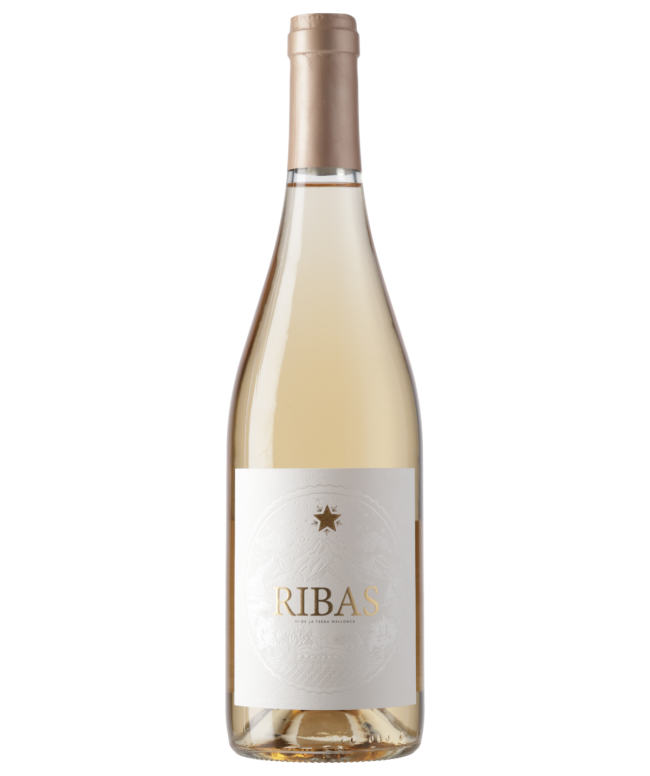 Ribas rosat, 2025