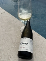 Grüner Veltliner Glorreich 2025
